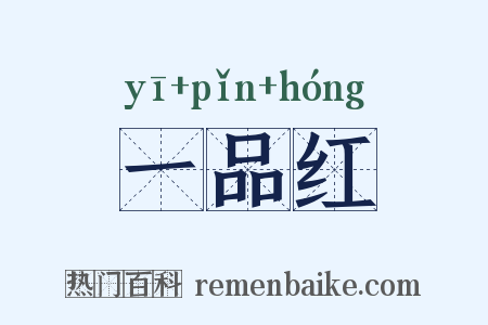 一品红是什么意思的图片